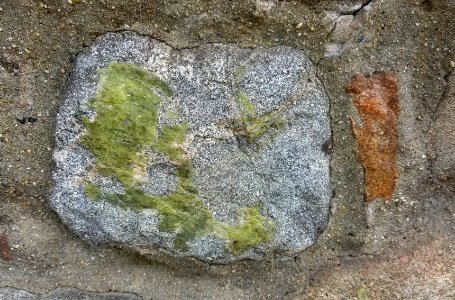 Stones in wall - Arlington, MA - 20201212 100236