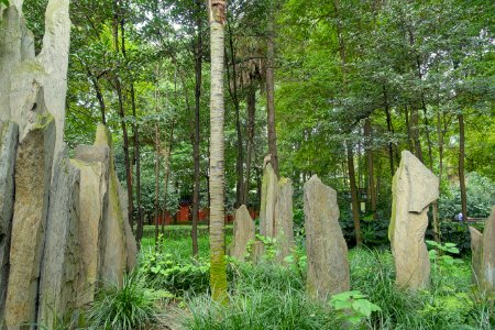 Stones - Wenshu Monastery - Chengdu, China - DSC05170