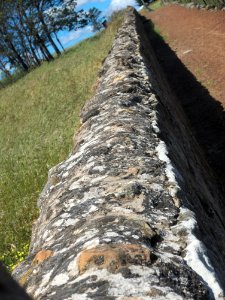 Stone wall Ross 20201113-031
