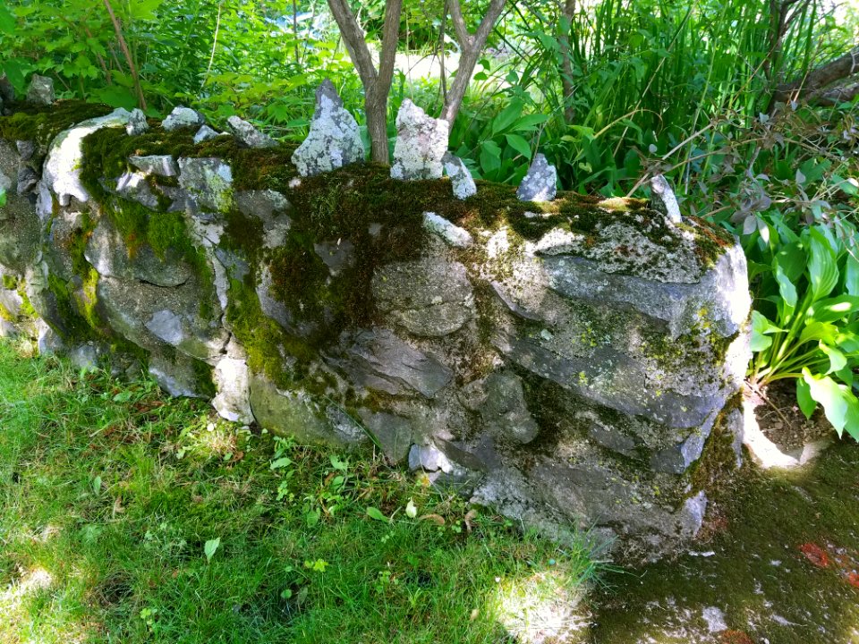 Stone wall - Arlington, MA - 20200704 101032