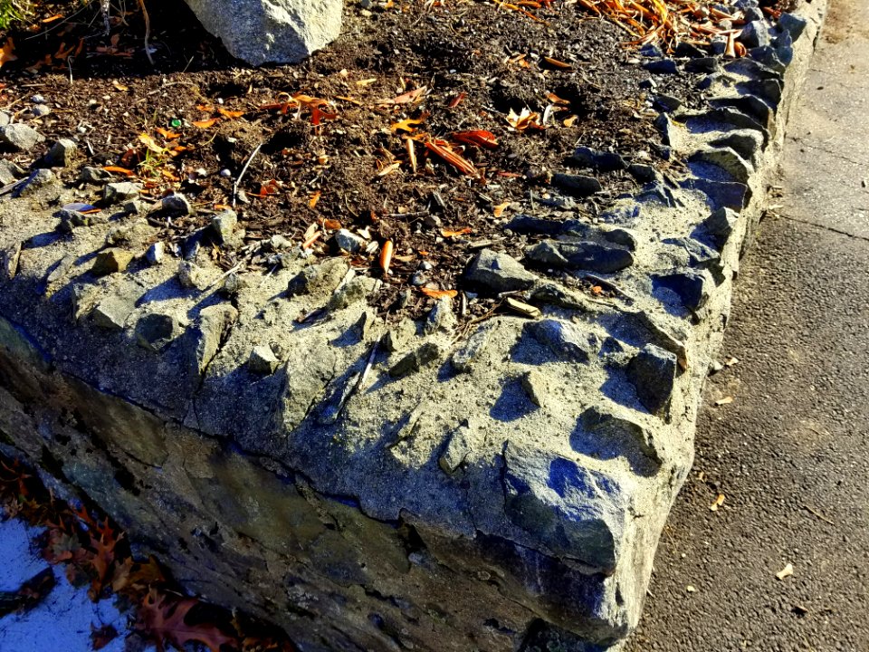 Stone wall - Arlington, MA - 20201116 094832