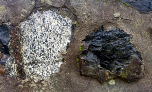 Stones in wall - Arlington, MA - 20201127 102954