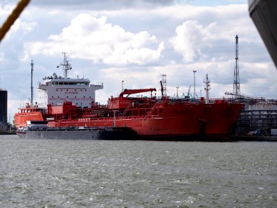 Stolt Larix (ship, 2015) IMO 9617650 & Provider (ship, 2012) Port of Antwerp pic1