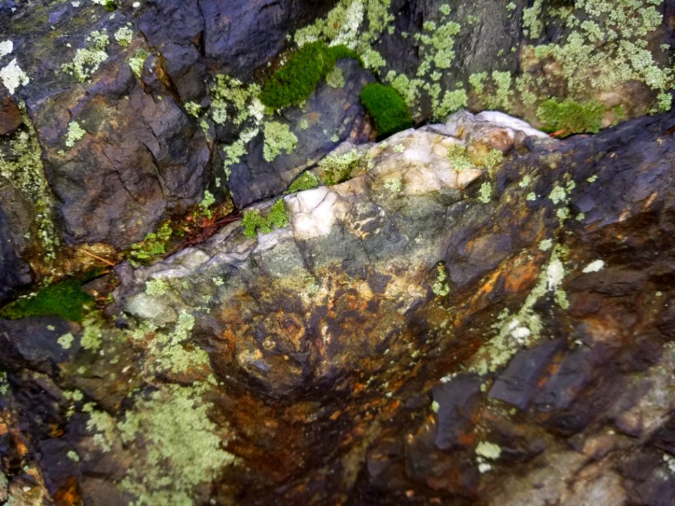Stone - Arlington, MA - 20201127 094205