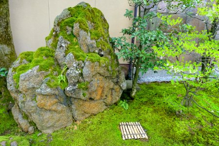 Stone and moss - Nagamachi - Kanazawa, Japan - DSC00327