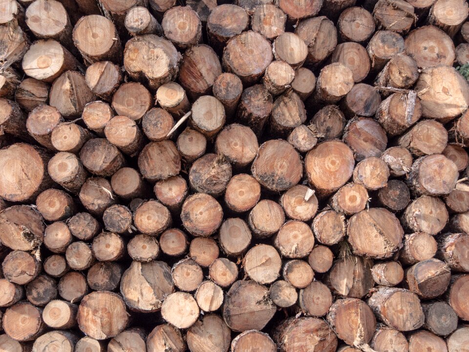 Sawmill canada brown