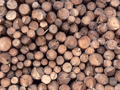 Sawmill canada brown