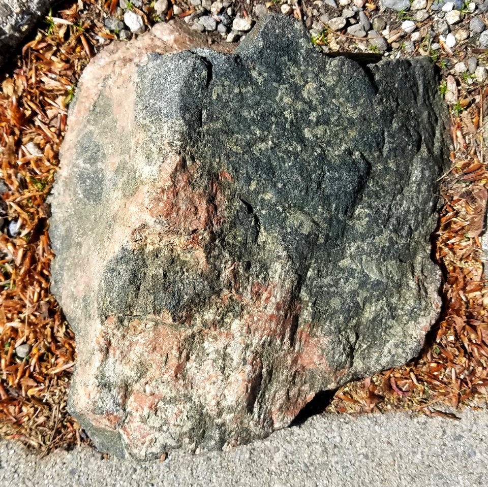 Stone - Arlington, MA - 01