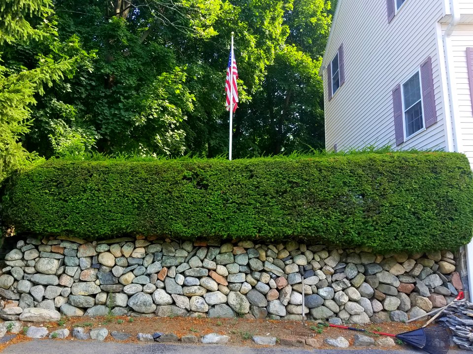 Stone wall - Arlington, MA - 20200729 092501