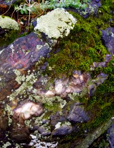 Stone - Arlington, MA - 20201127 094153