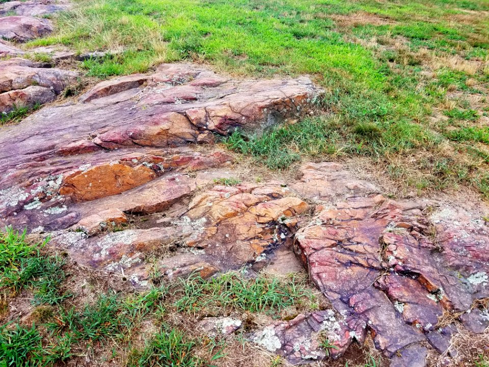Stone - Arlington, MA - 20200722 100740