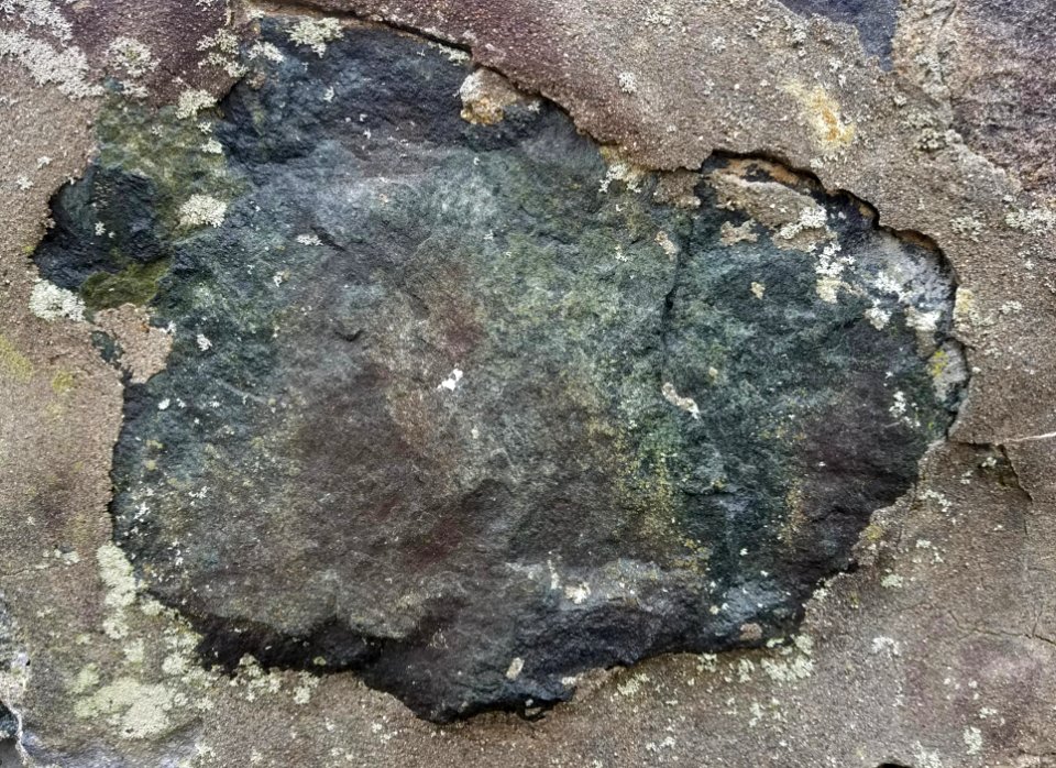 Stone in wall - Arlington, MA - 20201127 102659