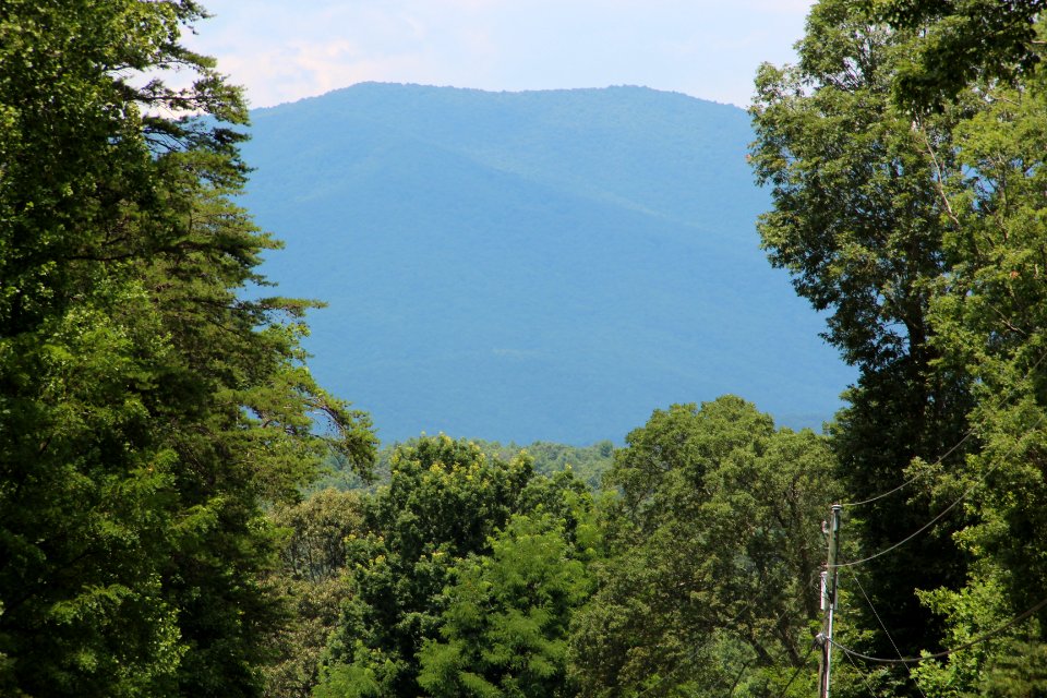 Stover Mountain, Gilmer County, GA July 2015