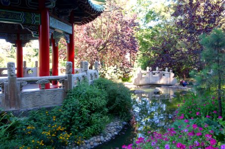 Stow Lake Pagoda - Golden Gate Park, San Francisco, CA - DSC03722