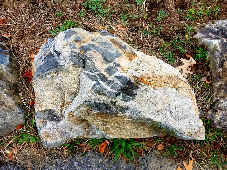 Stone - Robbins Farm Park - Arlington, MA - 20201125 095103