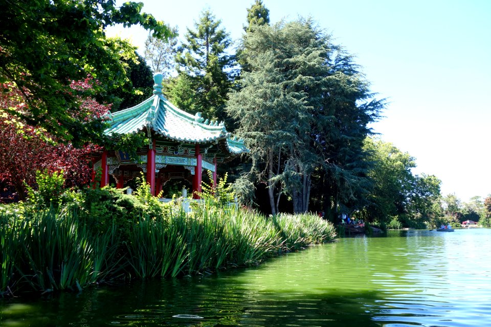 Stow Lake - Golden Gate Park, San Francisco, CA - DSC03677