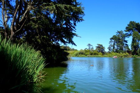 Stow Lake - Golden Gate Park, San Francisco, CA - DSC03669