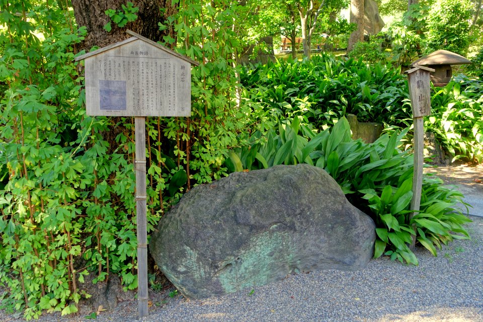 Stone - Old Yasuda Garden - Tokyo, Japan - DSC06473