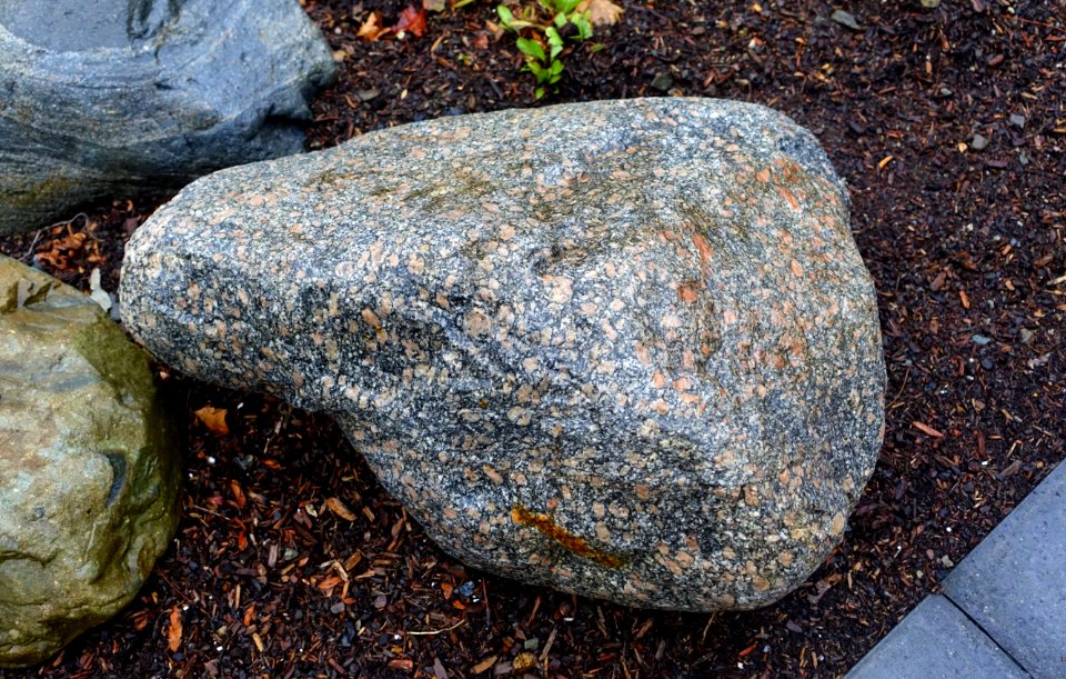 Stone - Arlington, MA - DSC03338