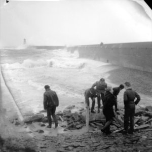 Storm op Schiphol. Windkracht 12 in Scheveningen, Bestanddeelnr 913-5165