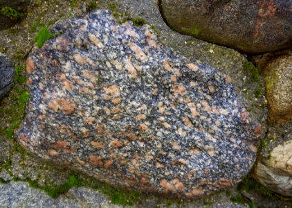 Stone in wall - Arlington, MA - 20201127 092423
