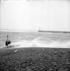 Storm op Schiphol. Windkracht 12 in Scheveningen, Bestanddeelnr 913-5166