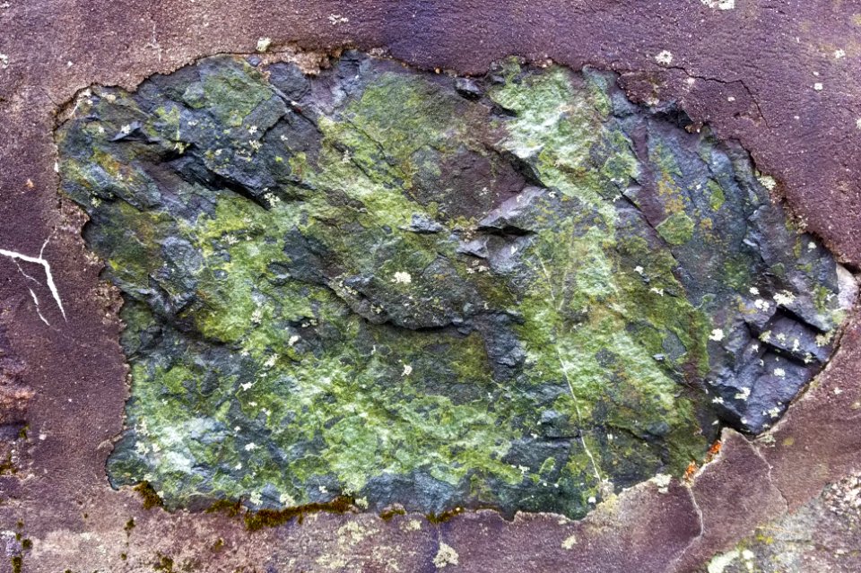 Stone in wall - Arlington, MA - 20201127 102613