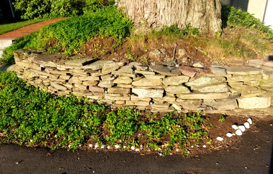 Stone wall - Arlington, MA - 01