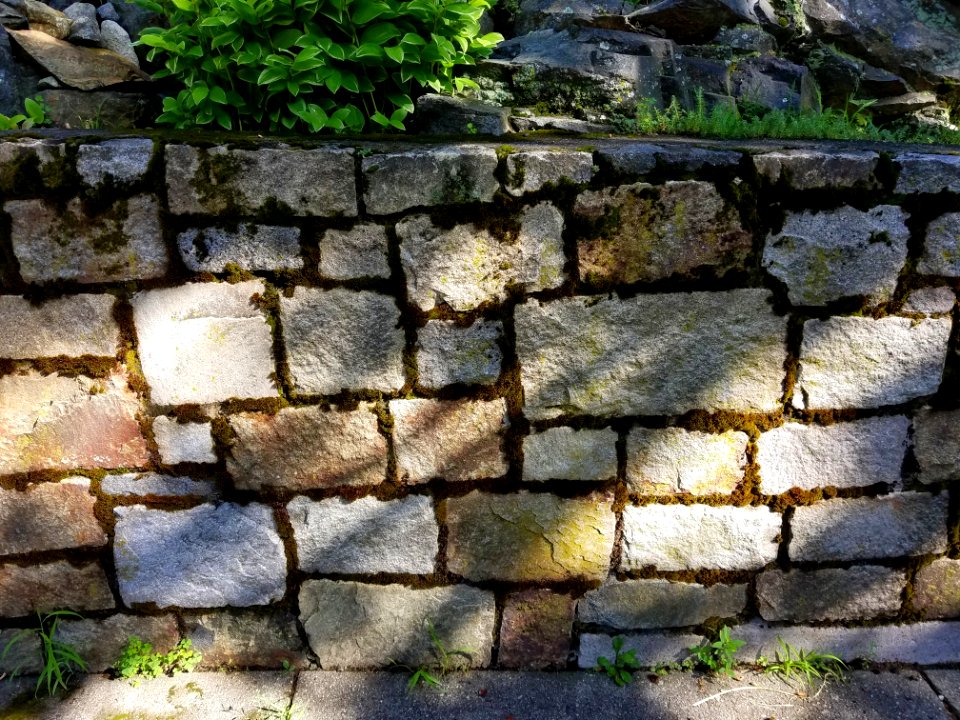 Stone wall - Arlington, MA - 20200729 090642