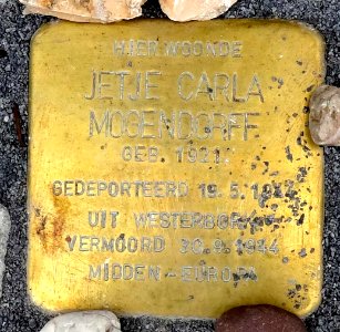 Stolpersteine Gouda Van Swietenstraat3 (detail1)