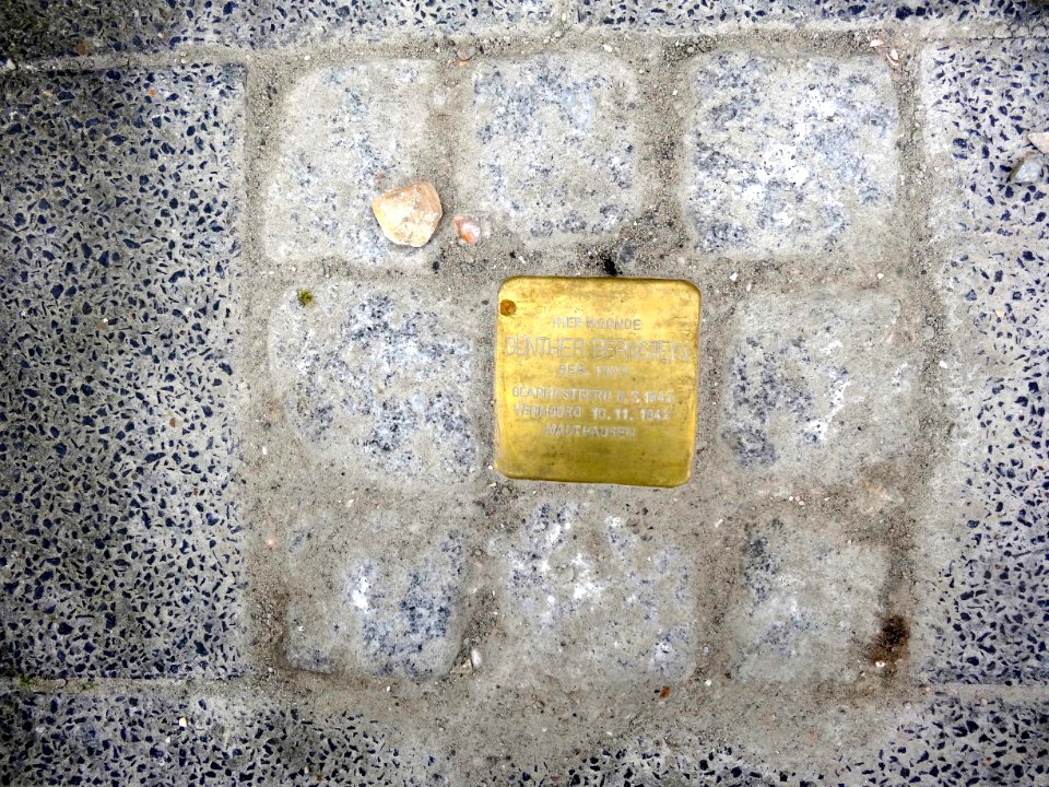 Stolpersteine Gouda Van Bergen IJzendoornpark3a
