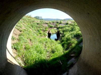 Stockmattengraben, Durchlass und Drossel bei Halberstung (2)