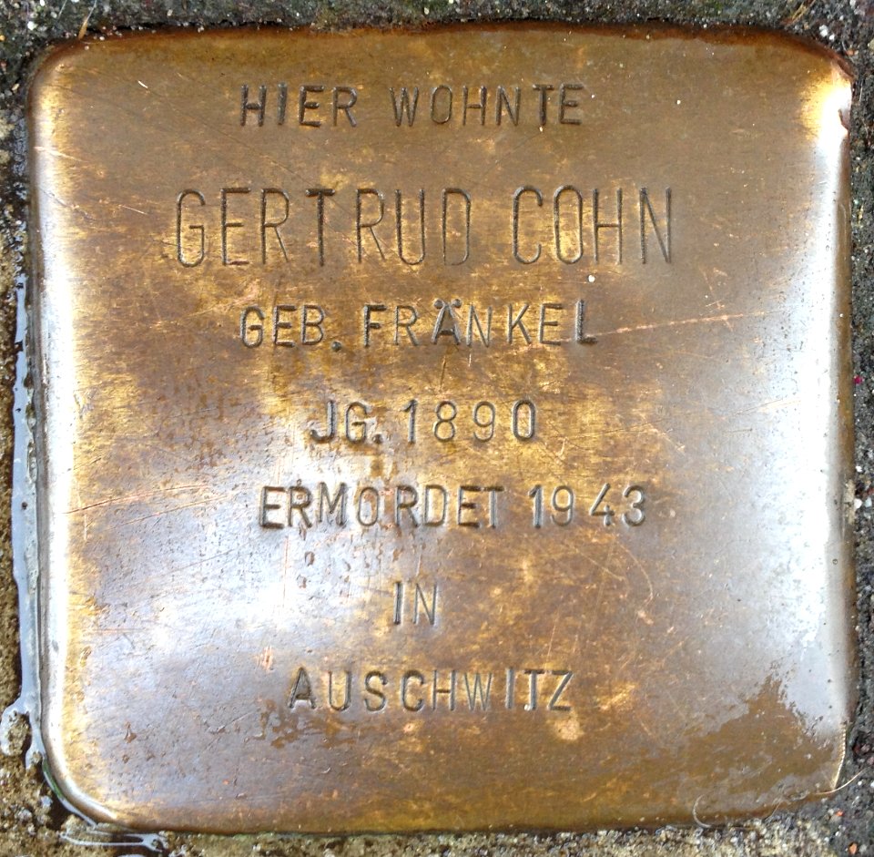 Stolpersteine Rotenburg (Wümme) – Gertrud Cohn