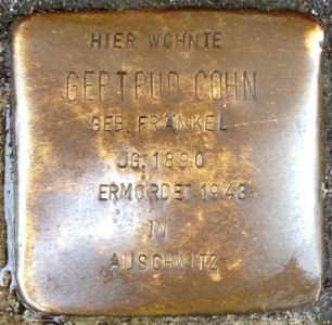 Stolpersteine Rotenburg (Wümme) – Gertrud Cohn