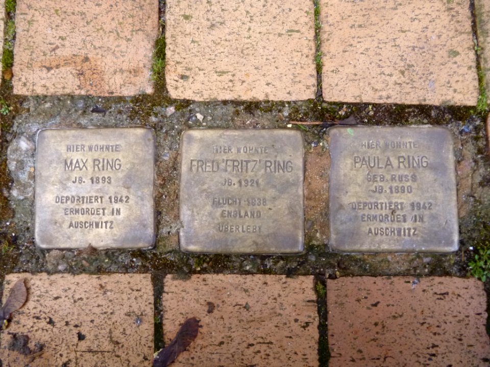 Stolpersteine Rendsburg Ring