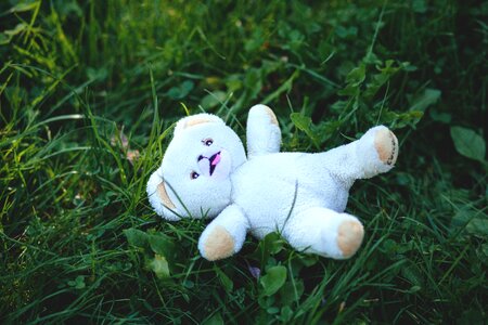 Stuffed animal teddy bear toy