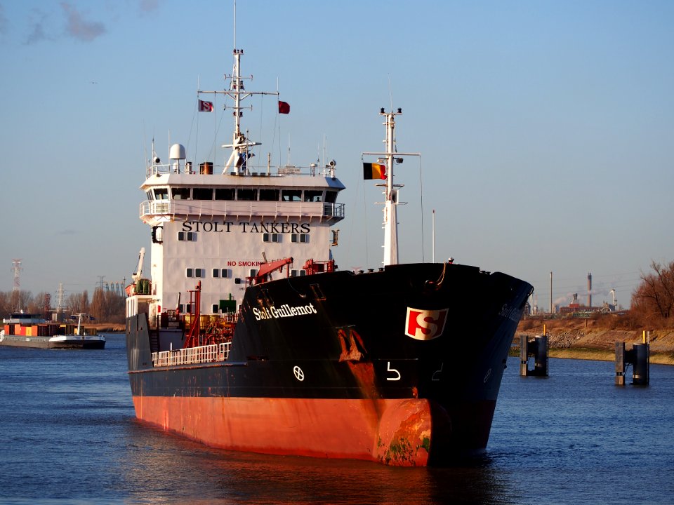 Stolt Guillemot (ship, 1993) IMO 8920581 Port of Antwerp pic4