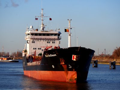 Stolt Guillemot (ship, 1993) IMO 8920581 Port of Antwerp pic4