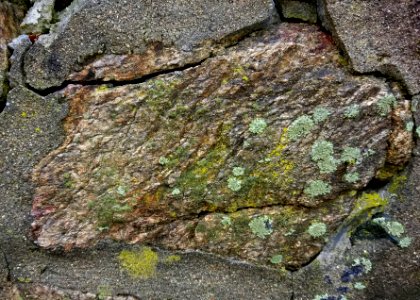 Stone and lichens in wall - Arlington, MA - 20201127 102346