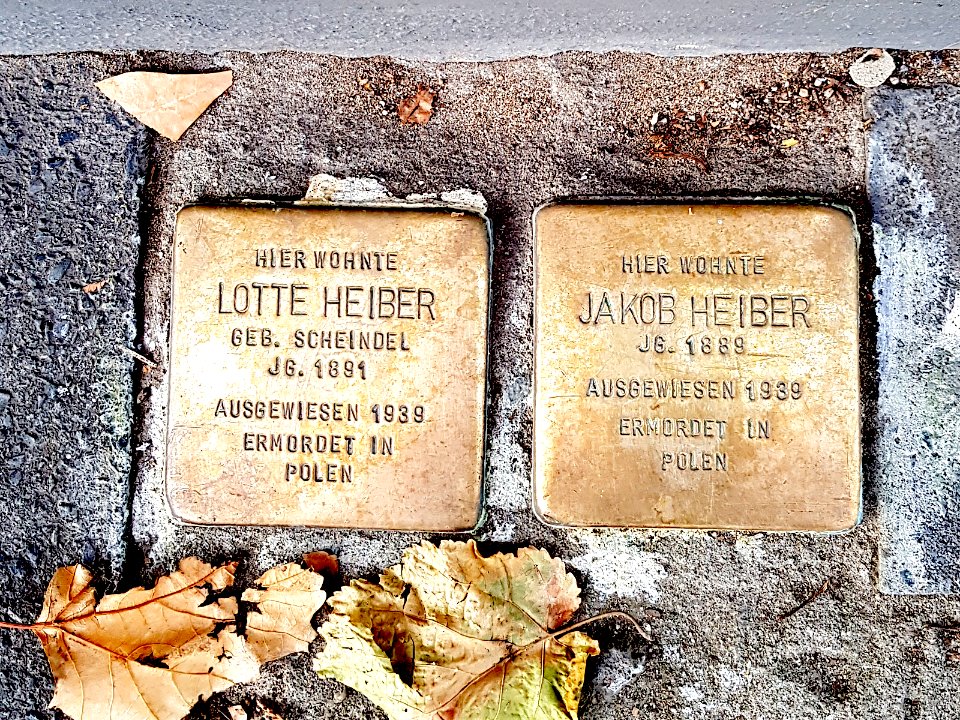 Stolpersteine Landau Oskar Jenny Sonnenwall 43 duisburg-altstadt