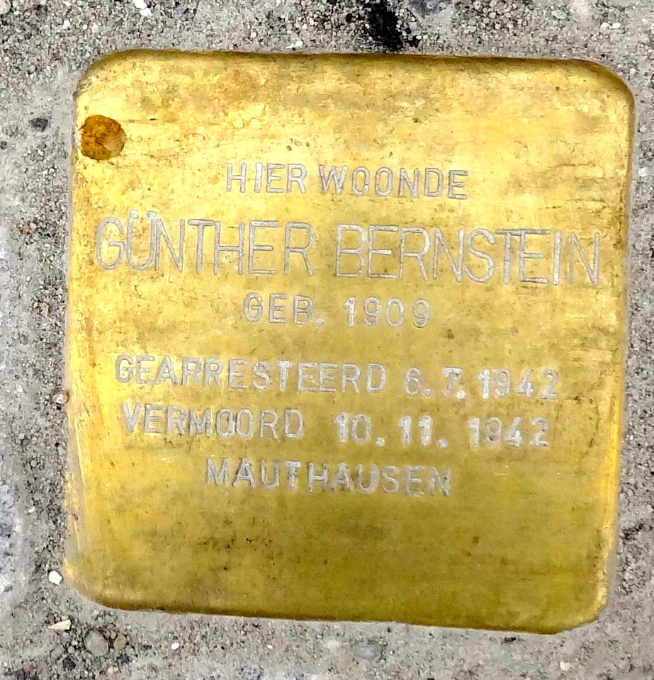 Stolpersteine Gouda Van Bergen IJzendoornpark3a (detail1)