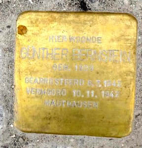Stolpersteine Gouda Van Bergen IJzendoornpark3a (detail1)
