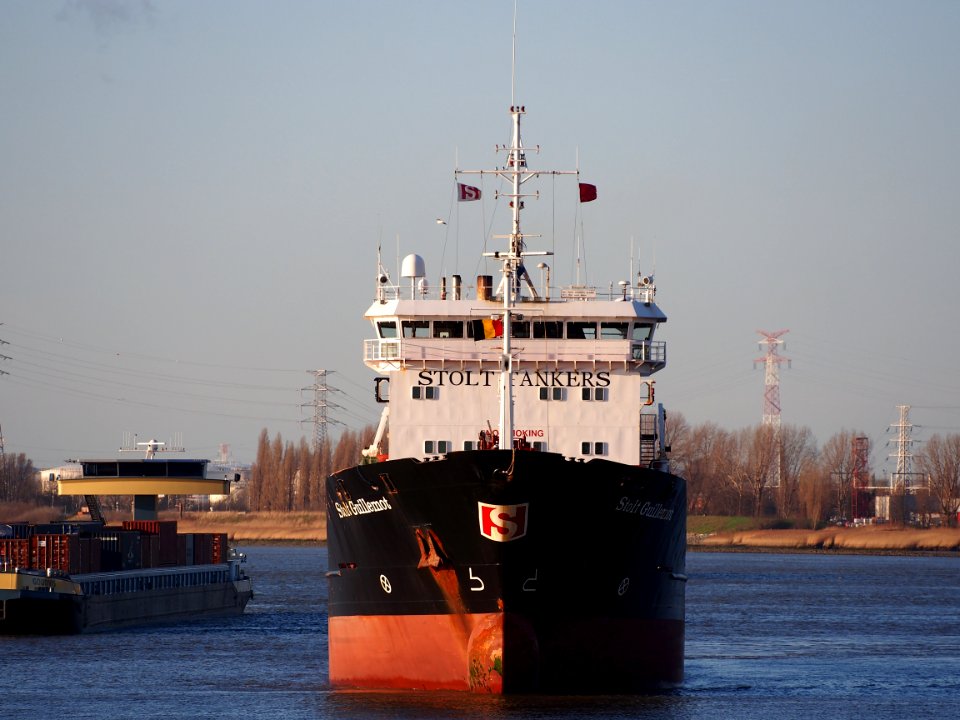Stolt Guillemot (ship, 1993) IMO 8920581 Port of Antwerp pic2