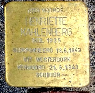 Stolpersteine Hoge Gouwe99 (detail5)