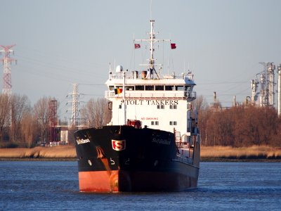Stolt Guillemot (ship, 1993) IMO 8920581 Port of Antwerp pic1