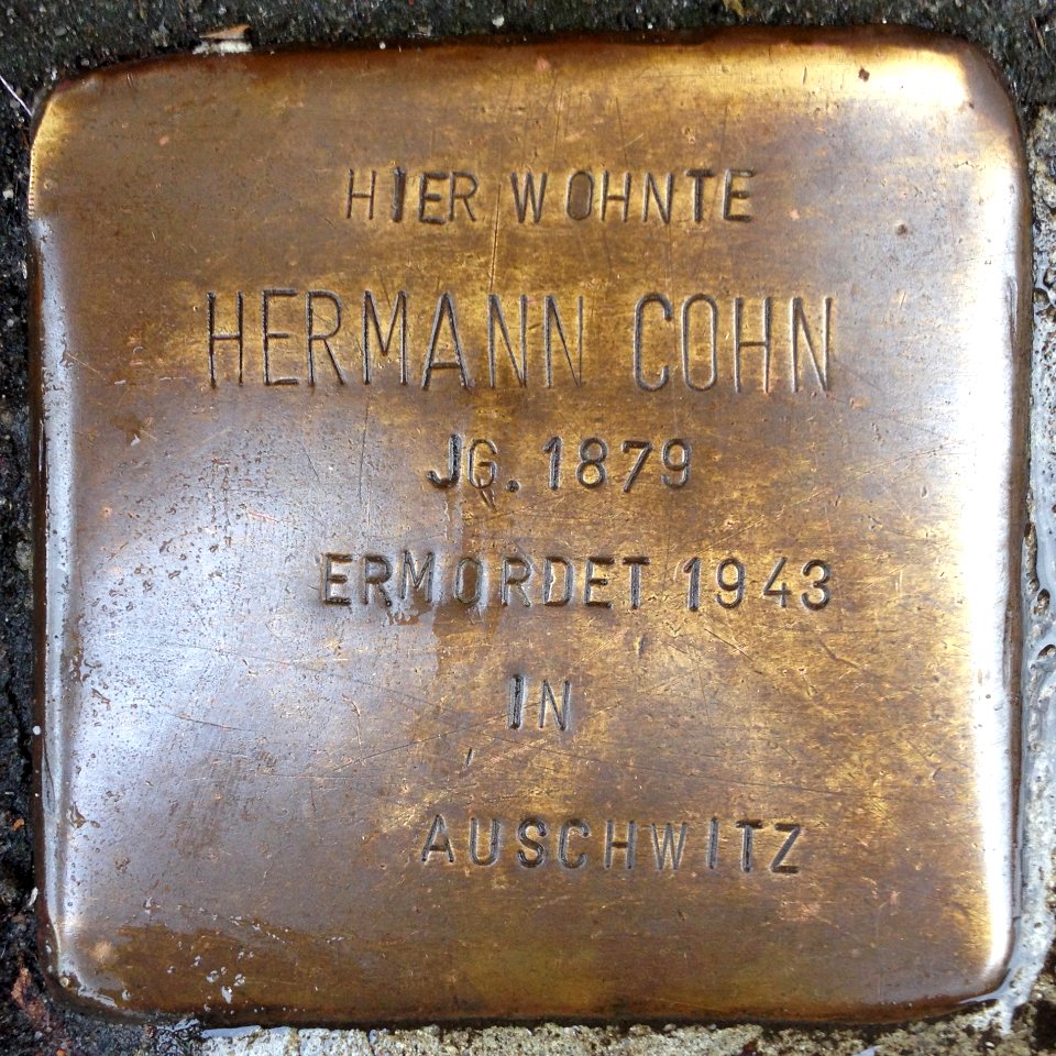Stolpersteine Rotenburg (Wümme) – Hermann Cohn