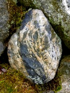 Stone in wall - Arlington, MA - 20201230 102940