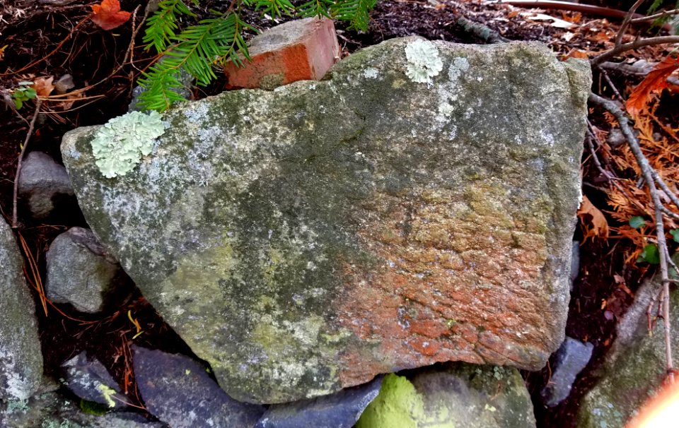 Stone in wall - Arlington, MA - 20201128 102507