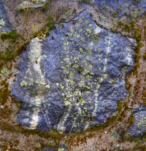 Stone in wall - Arlington, MA - 20201127 102518