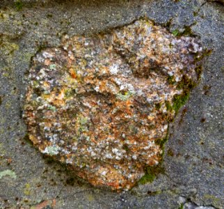 Stone in wall - Arlington, MA - 20201127 102302
